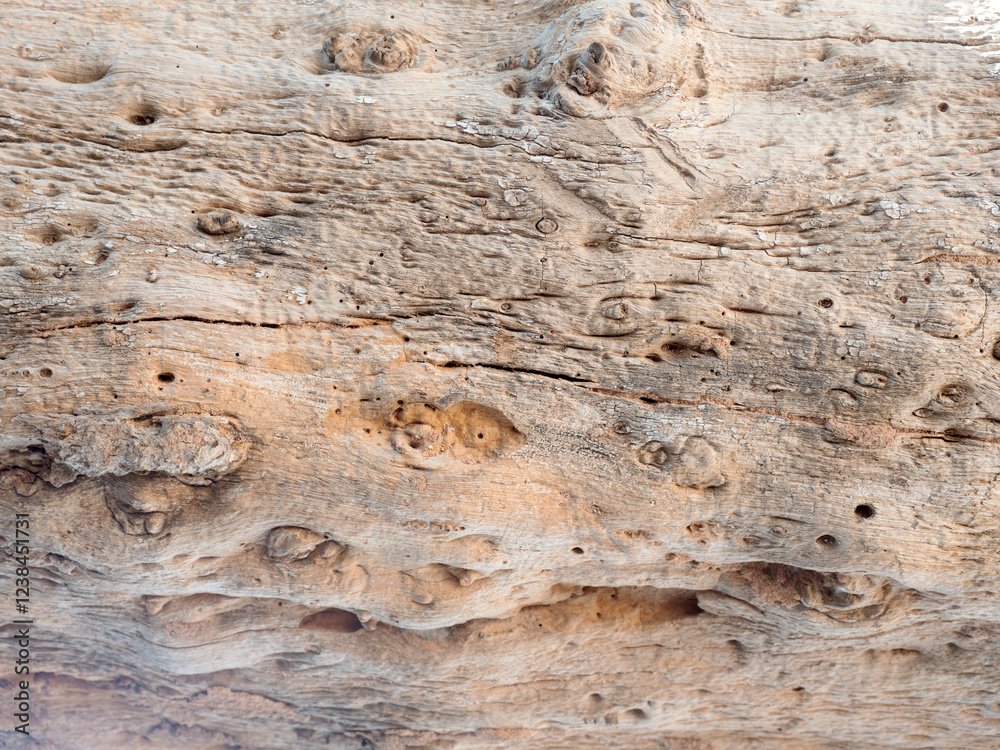 Close up wood pattern and texture for nature Background.