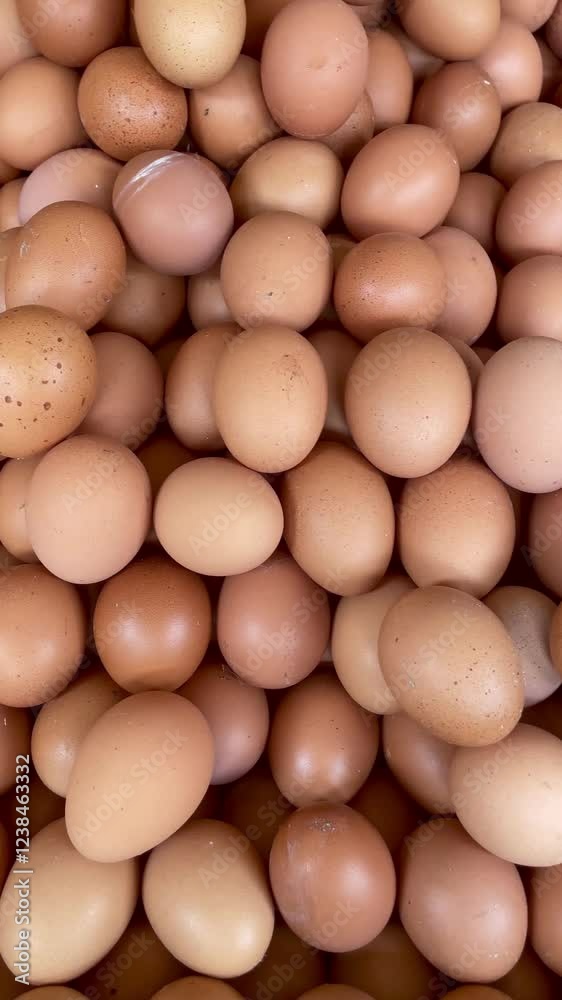 Pile of broiler chicken eggs at the trader. Background of pile of brown chicken eggs. Chicken eggs contain many vitamins for health Pile of broiler chicken eggs at the trader. Background of pile of brown chicken eggs. Chicken eggs contain many vitamins for health