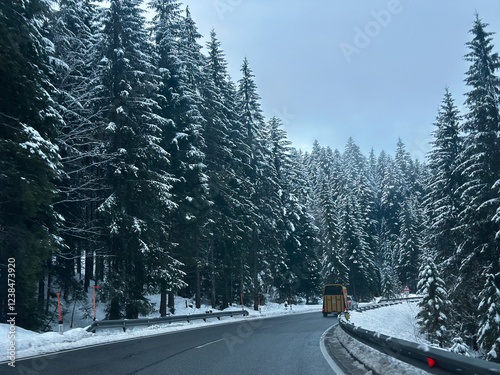 Snow-covered mountain road winding through dense evergreen forest, cloudy sky with misty atmosphere, photo