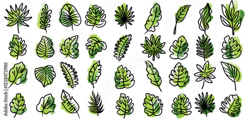 Traopical leaves with watercolor spots. Vector set.