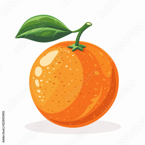 orange fruit isolated on white background vector illustration 