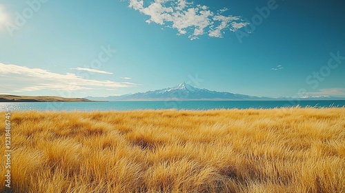 lake pukaki turquoise waters new zealand landscape