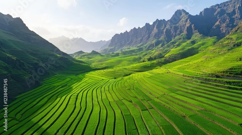 Mountains landscape nature idea. Breathtaking green terraced fields set against majestic mountains under a clear sky.