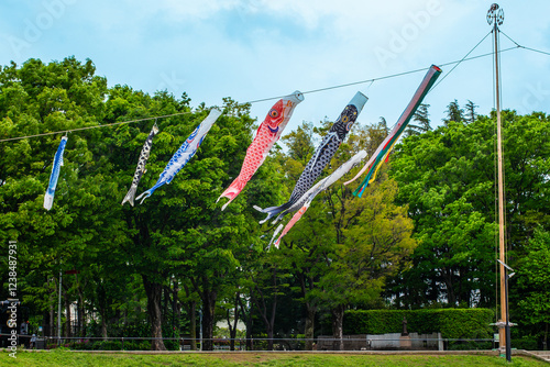 Carp streamers in Setagaya Park, Tokyo photo