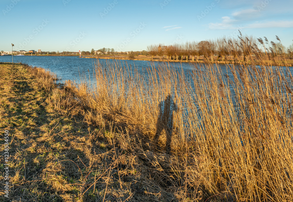 Shadow image of the photographer on yellowed reeds. The photo was taken at the edge of a Dutch river on a sunny day in the winter season.