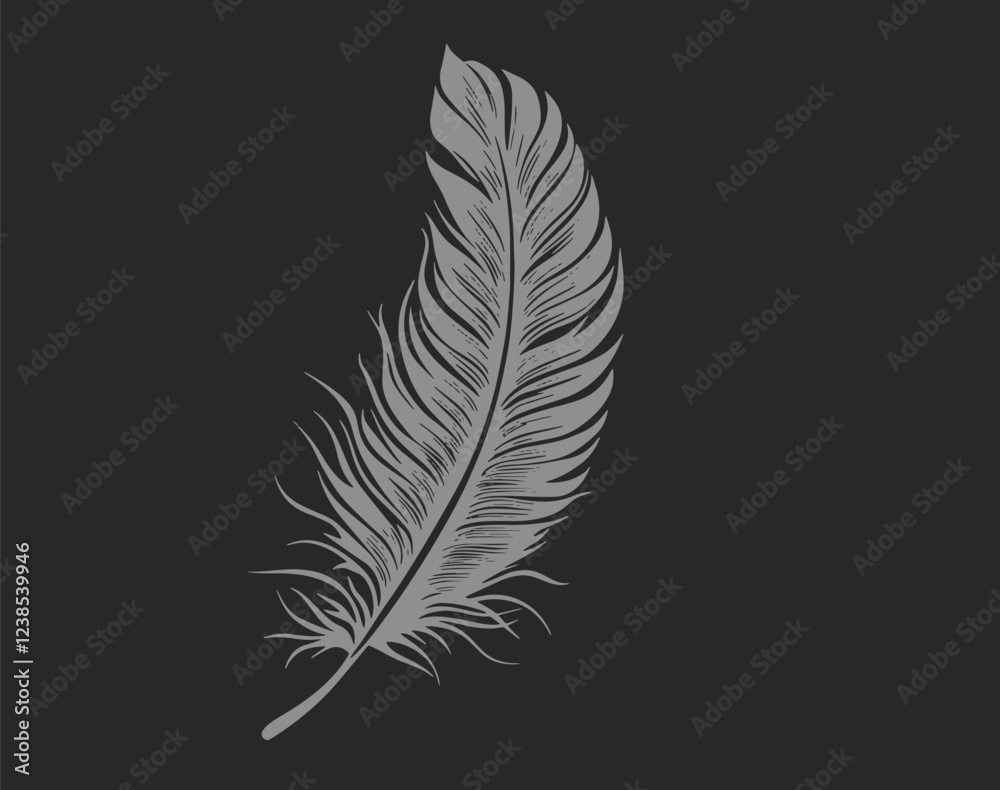 Fototapeta premium Single Feather Black and White Line Art with Delicate Detail