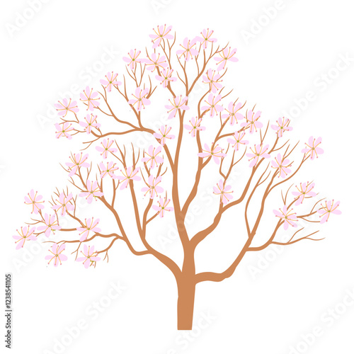 vector drawing set of flowering trees with pink flowers isolated at white background, blooming cherry trees in spring, hand drawn illustration