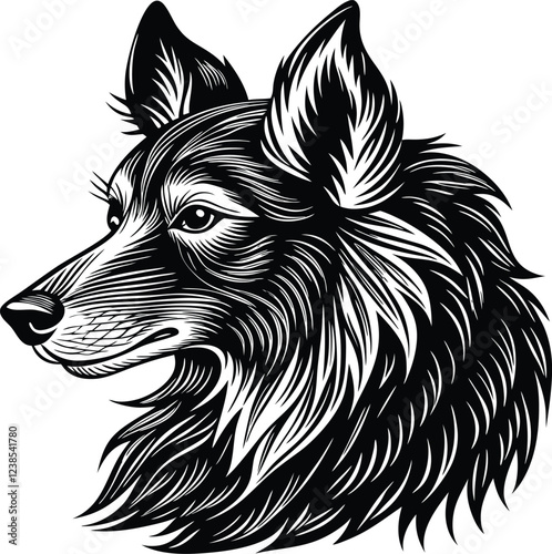 Art & Illustration