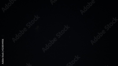 Wallpaper Mural Beautiful flashes of multi-colored festive fireworks against the background of the night sky, celebration Torontodigital.ca