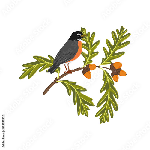 vector drawing tree branch of white oak with green leaves and acorns and American robins birds isolated at white background, Quercus alba, hand drawn illustration