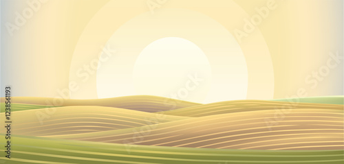 Hilly agricultural landscape, with cultivated by agriculture fields and hills,  sunrise (or sunset) sun above the horizon. Vector illustration.