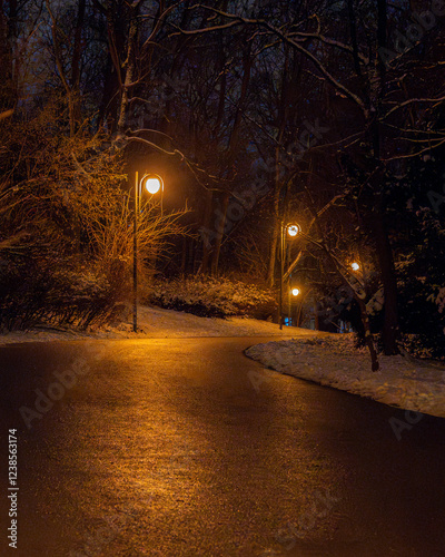 Empty parkway at night. Winter in the night park. Streets with snow. Yellow sodium lamps.