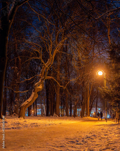 Branchy try in the empty city park at night. Winter in the park. Streets with snow. Yellow sodium lamps.