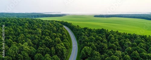 Countryside roads nature concept. Aerial view of lush green forest and winding road amidst open fields under soft sunlight.
