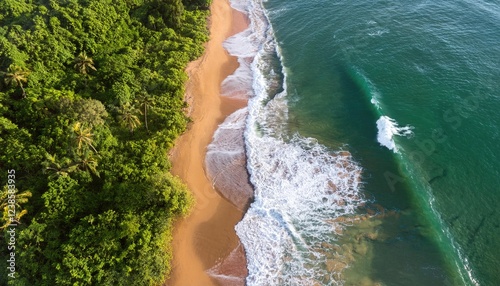 Stunning aerial view of waves crashing on a tranquil beach surrounded by lush green vegetation and trees during a sunny day  photo