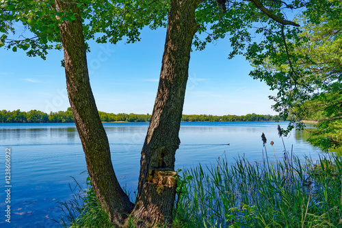View over a lake with dark blue water to the opposite shore.