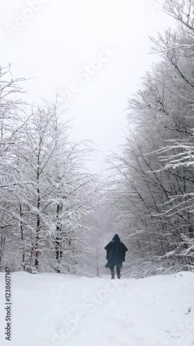 Wallpaper Mural Low angle of a person walking in nature in a snowstorm Torontodigital.ca