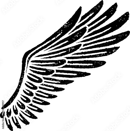 vintage black wing illustration	
