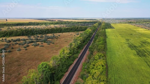 Aerial view of car driving. Road trip. 