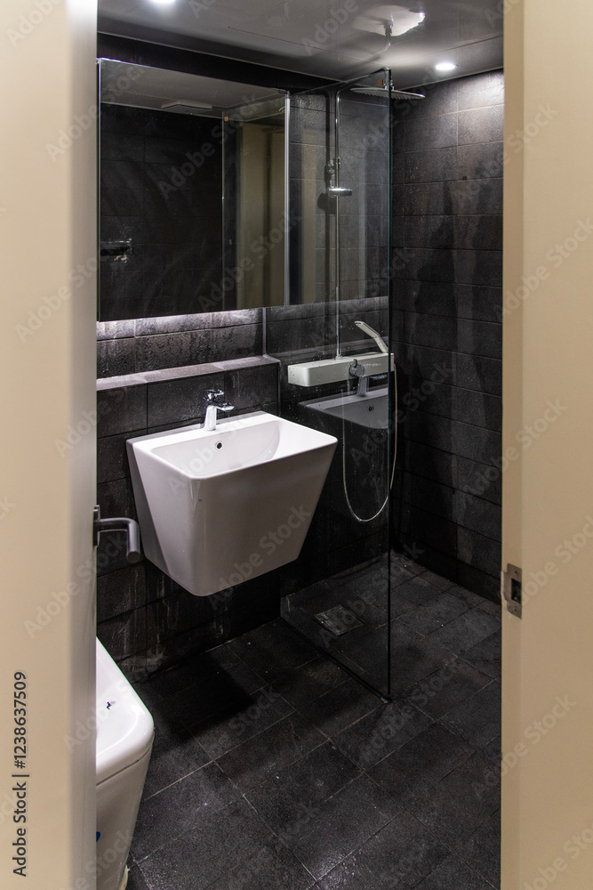 Fototapeta premium wash basin and shower room