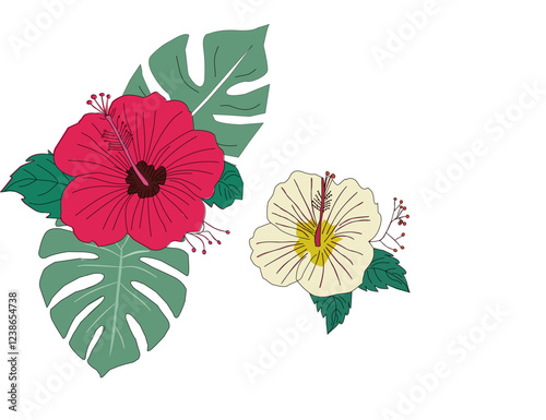 hibiscus flower. Hibiscus flower vector. Colorful hibiscus flower with tropical leaf. Flower vector. Hibiscus flower with monstera.  Hibiscus flowers and monstera leaves.