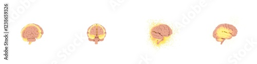 Set of 3D rendered human brains with glowing neural activity on solid background, neuroscience and medical concept