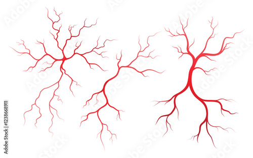 Human Health veins and arteries illustration design template