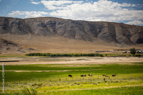 Sandaohaizi Scenic Area, Qinghe County, Xinjiang, China photo