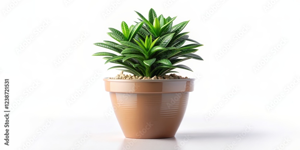 Fototapeta premium Green Plant in a Brown Pot on a White Background - Minimalist Composition for Interior Design Inspiration