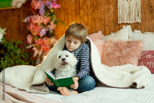 Wallpaper Mural Little toddler child, boy, lying in bed with pet dog, little maltese dog, reading a book, nice light Torontodigital.ca