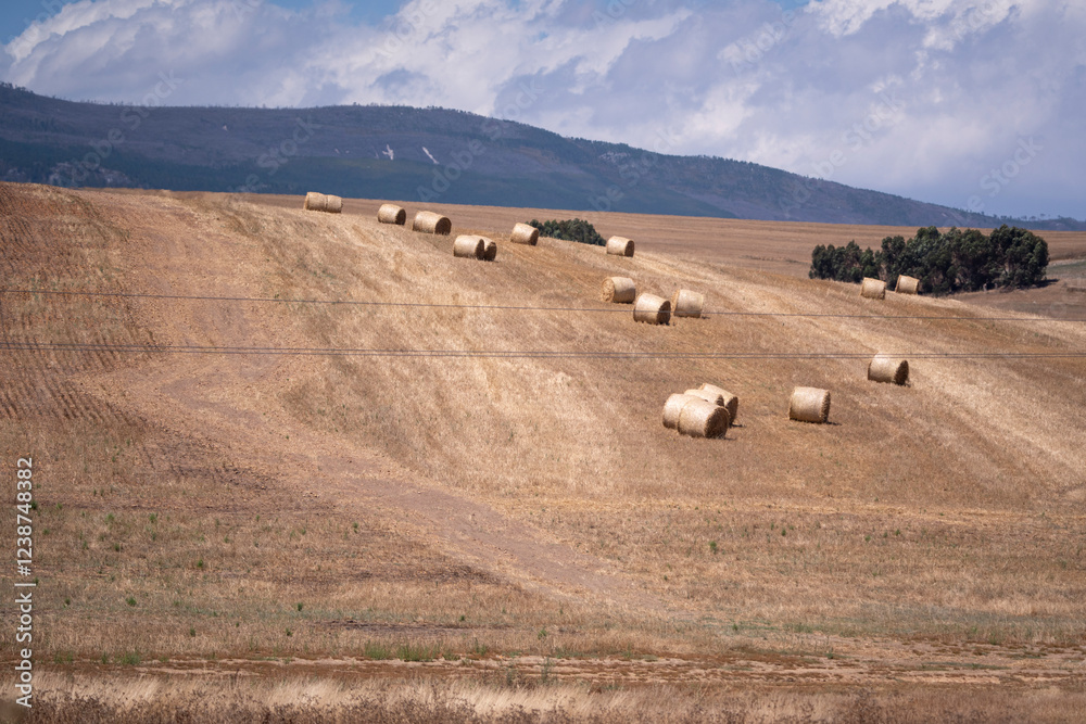 Obraz premium Hands in the soil, hearts full of hope—life on the farm thrives with every season’s cycle