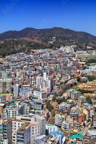 Busan city on sunny day in South Korea photo