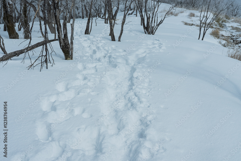 雪山の登山道02 雪山の登山道02
