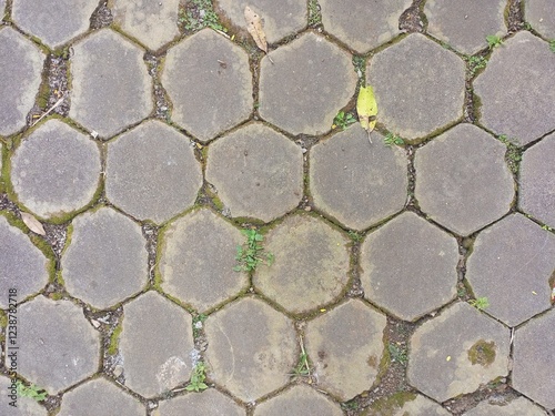 the dull block paving is dirty and full of moss photo