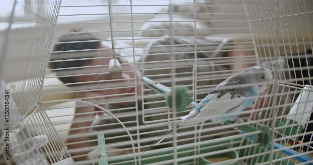 Boy gently strokes his pet parakeet through its cage. The bird enjoys the interaction and snuggles closer. Boy gently strokes his pet parakeet through its cage. The bird enjoys the interaction and snuggles closer.