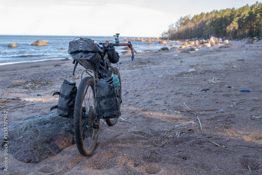 Obraz premium Bicycle with bags for transporting things on a trip