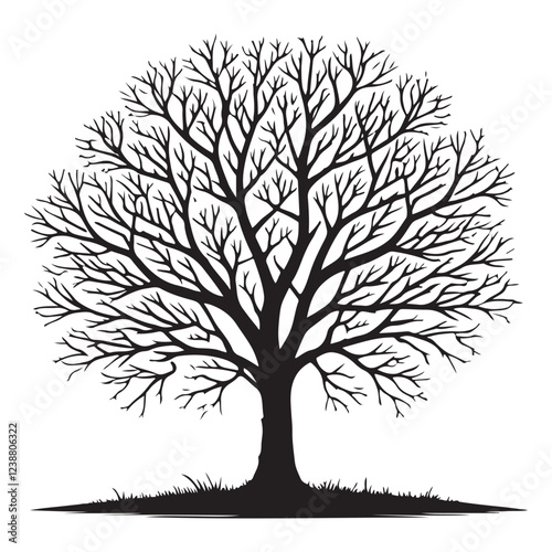 Silhouette vector art of a leafless tree