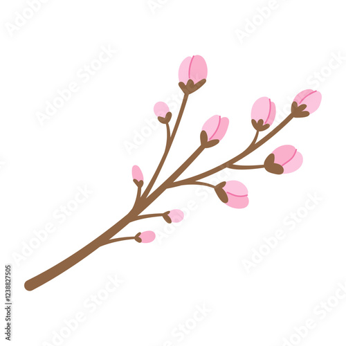 Sakura branch with unopened buds. Vector illustration.