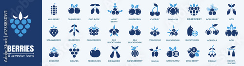 Berries Vector Icons Set. Berry icons including strawberry, blueberry, and raspberry; perfect for food-related projects.