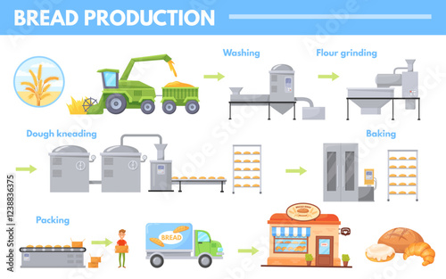 Cartoon bread production. Bakery products making process factory line wheat harvest commercial baking shop, flour industry manufacturing stage infographic neat vector illustration