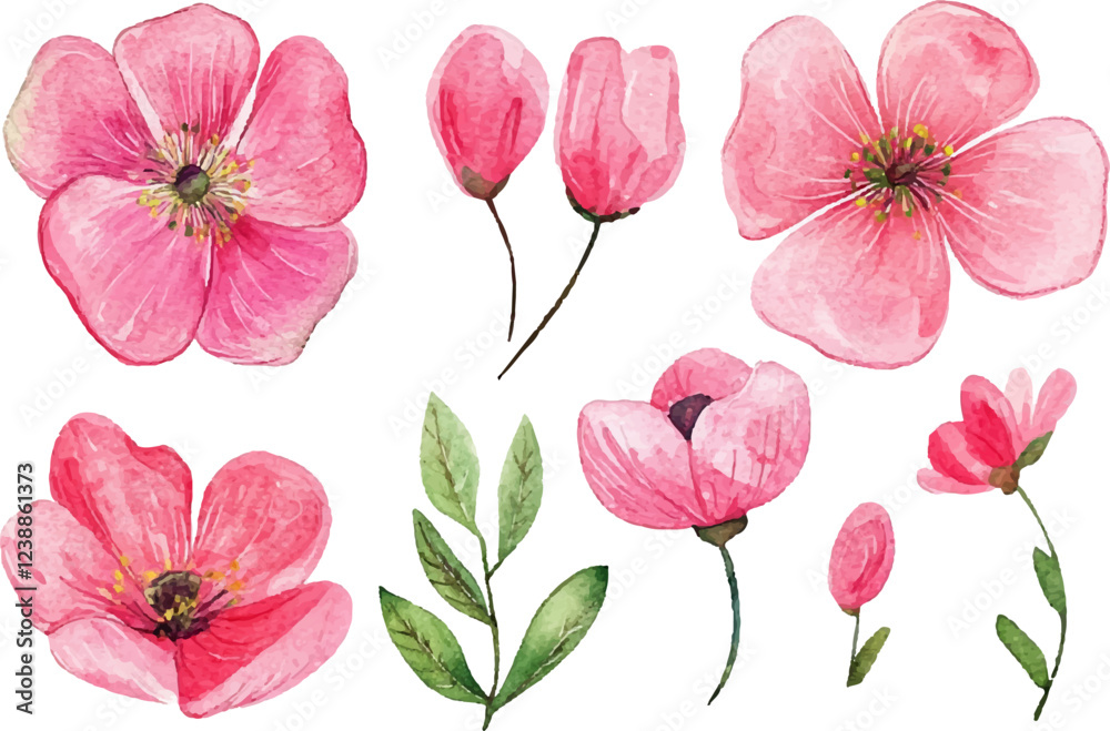Obraz premium collage of pink flowers