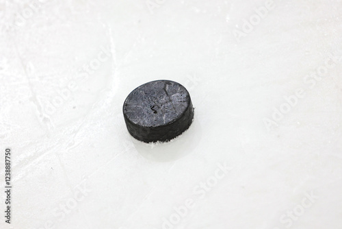 Canvas Print Ice Hockey Puck laying on ice hockey arena rink ice.