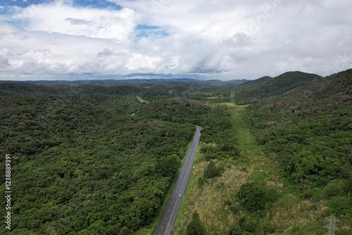 a imagem de uma estrada que corta a floresta tropical no interior do estado de São Paulo, Brasil, captada por um drone. photo