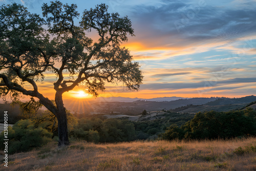 Harmony in Twilight: An Ethereal Dance of Warm and Cool Kelvin Temperatures in the Sky