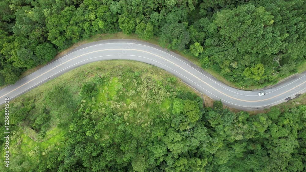 Um vídeo de veículos trafegando em uma estrada vicinal sinuosa em uma região com floresta e silvicultura de pinus, em imagem aérea obtida com uso de drone, no Vale do Ribeira, em São Paulo, Brasil