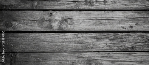 Rustic wooden plank wall texture in grayscale with visible grain and knots. photo