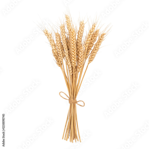 A beautiful bouquet of golden wheat sheaves tied with a rustic bow.