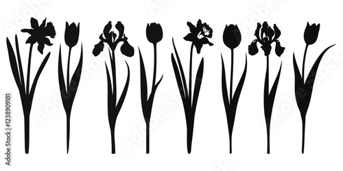 Spring Flower Vector black silhouettes of (tulips, narcissus and iris) isolated on a white background.