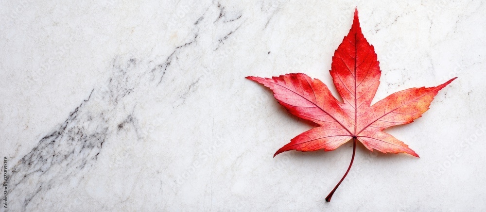 Red maple leaf on marble background with copy space Red maple leaf on marble background with copy space