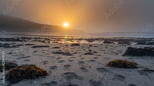 sun peeking over the horizon at dawn, casting soft golden light on a beach covered with footprints in the sand and the gentle ebb and flow of the tide. Sunset.Sunrise over a beach 